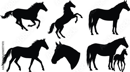 Bild auf Leinwand Horse silhouette collection with running rearing galloping poses mare with foal