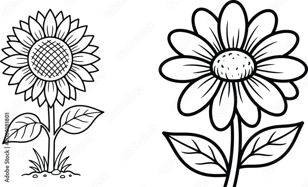 Fototapeta premium Sunflower and daisy line art illustration set