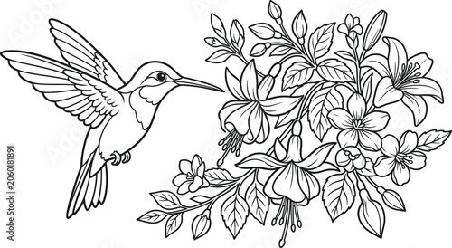 Fotografi Hummingbird approaching flowers coloring page
