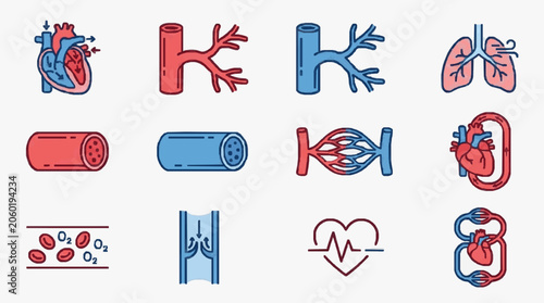 Tableau sur toile Human circulatory system and respiratory system icons.