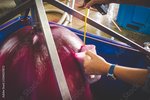 Fotografía Winemaker Collecting Red Wine Sample During Fermentation Process