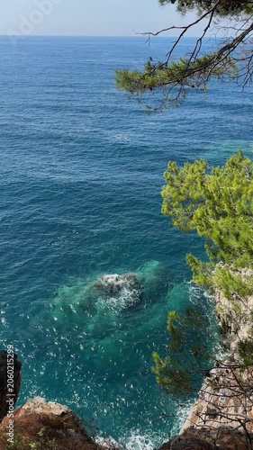 View of clear blue sea, rocky coast and green pine branches in Montenegro, with transparent water and peaceful summer atmosphere
