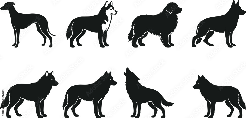 Fototapeta premium Vector Black Silhouette Set of Domestic Dog Breeds and Wild Howling Wolf Icons Collection