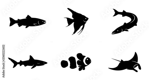 Photography Diverse Aquatic Life Vector Icons: Fish, Shark, Angelfish, Clownfish, Manta Ray