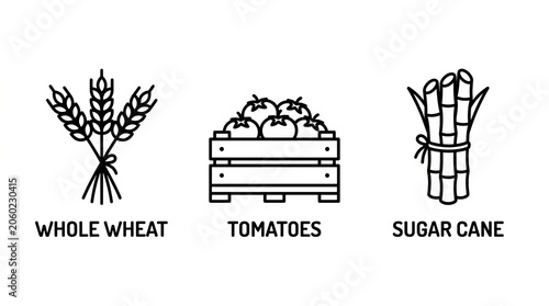 Simple line illustrations of wheat, tomatoes, and sugar cane representing farm produce.