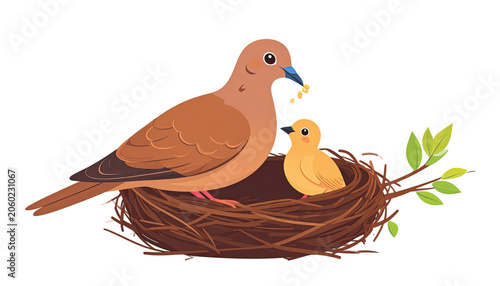 Brown bird and chick in nest.