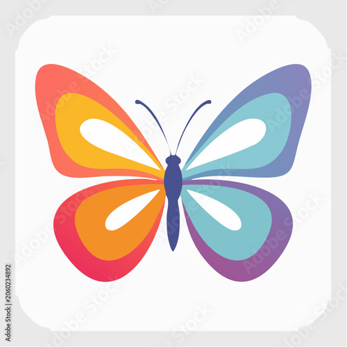 Colorful Butterfly Illustration