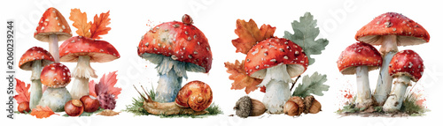 Foto Watercolor illustration of a cluster of red and white fly agaric mushrooms on a