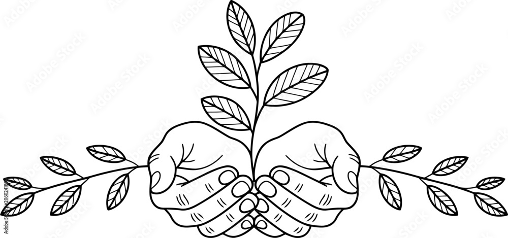 Fototapeta premium Line of Cupped Hands Gently Holding a Growing Plant with Leaves on Branches Extending Outward on a White Background