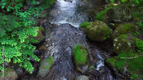新緑の渓流　山梨市の鼓川
