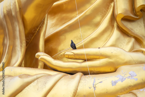 A small pigeon sitting peacefully on the giant golden hand of a Buddha statue at a Thai temple.