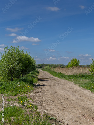 Żuławy, a road lost among the fields.