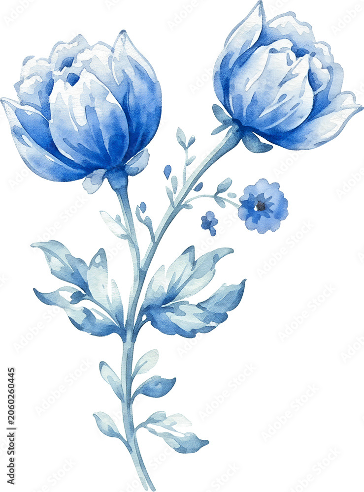 Fototapeta premium set of blue and white flowers
