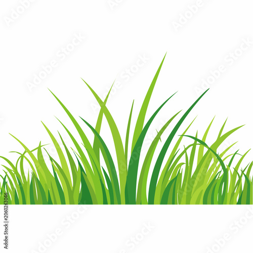 Green Grass Border Illustration