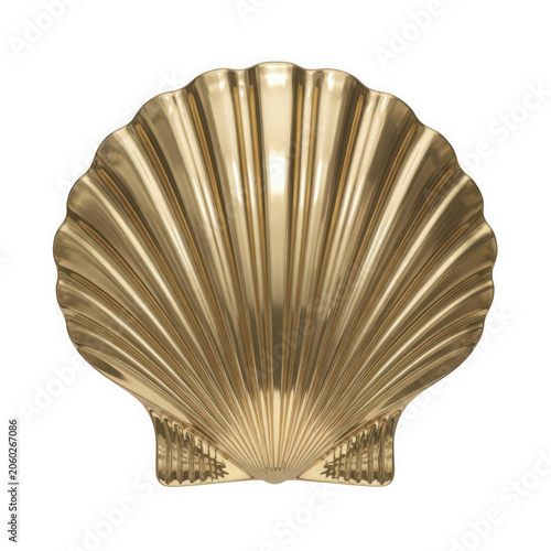 Golden scallop shell with smooth texture
