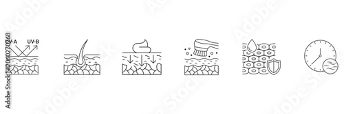 Dermatology and skin layers care icon set showing uv protection hair follicle absorption cream brush cells shield and clock vector illustration