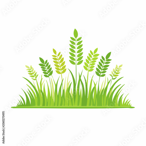 Green Grass and Wheat Stalks Illustration
