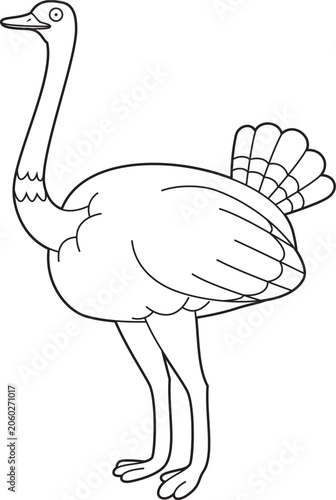 Easy coloring cartoon vector illustration of an ostrich isolated on white background