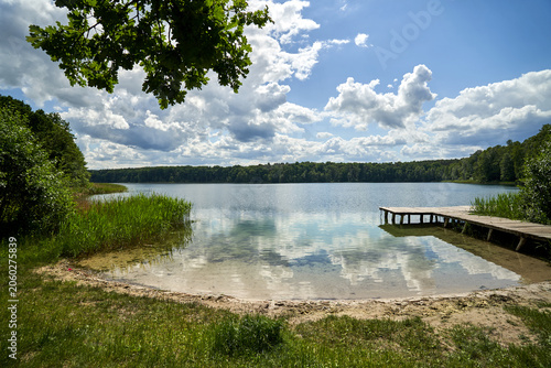 Reeds, sandy beach, and a wooden jetty on the shore of a lake
