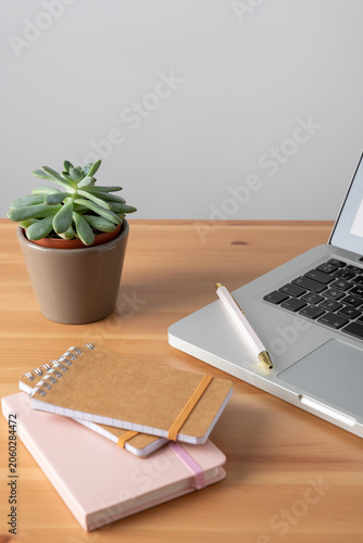 Vertical home workspace with laptop, notebooks and succulent plant on a light wooden desk with ample copy space. Concept of workspace wellbeing, remote work and productivity