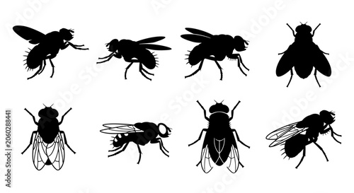 Black silhouettes of various flies in different poses on white