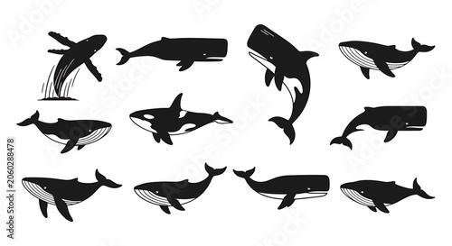 Various whales swim in ocean waters in different positions and sizes.