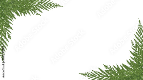 Fern leaf border design featuring green branches in the corners of a white background for frames and invitations.