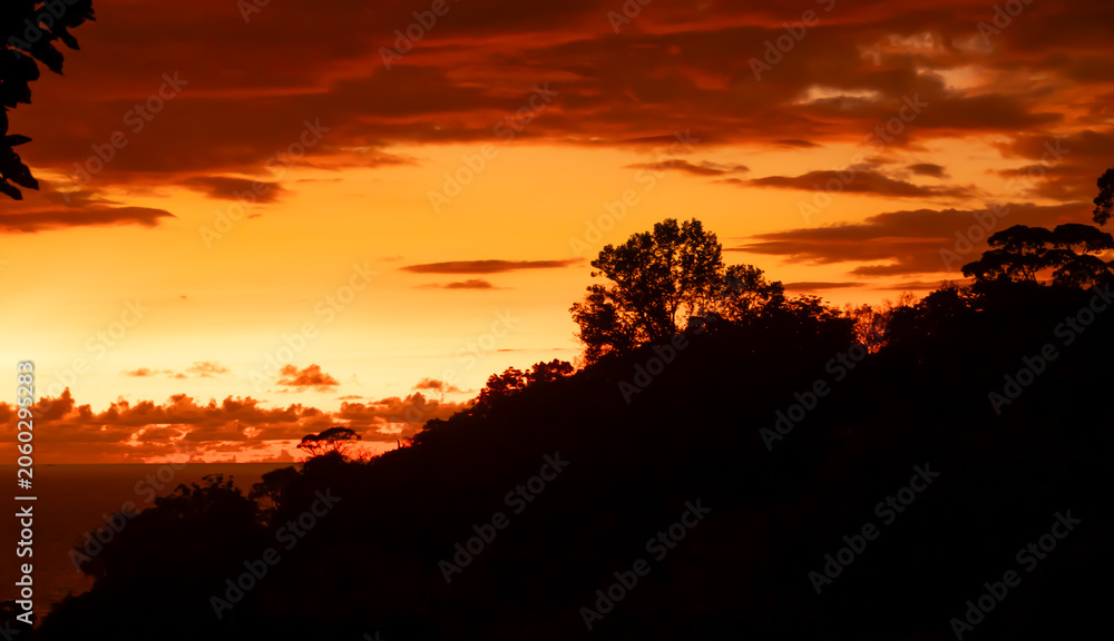 Fototapeta premium Jungle Sunset Silhouette in Costa Rica