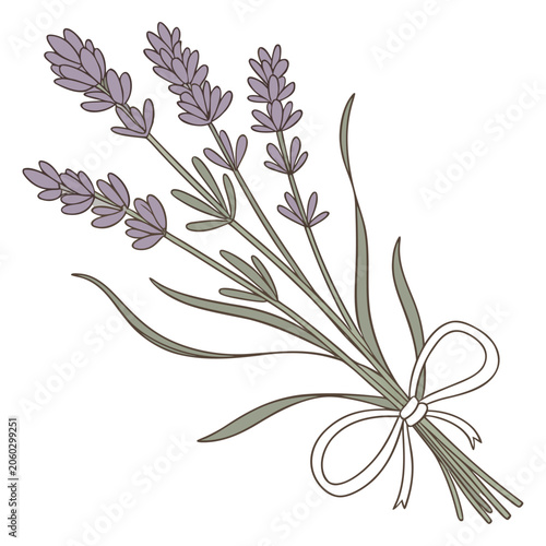Lavender Bouquet with Ribbon Vector Illustration on White Background