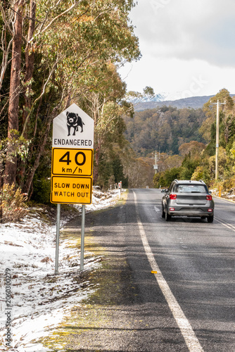 Road Sign Warning Drivers of Tasmanian Devils in Tasmania, Australia