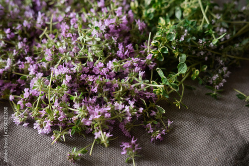 Vibrant herbs and flowers create a natural tapestry on a rustic fabric backdrop