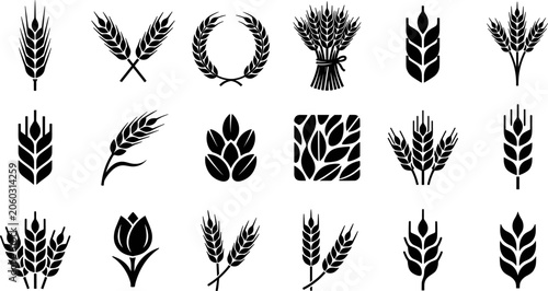 Canvastavla Wheat Ear and Agriculture Silhouette Vector Icon Set Featuring Barley Stalks, Ry