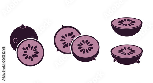 Purple Exotic Fruit Slices Flat Vector Illustration