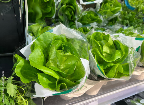 Fresh lettuce in clear packaging displayed at a grocery store in the afternoon