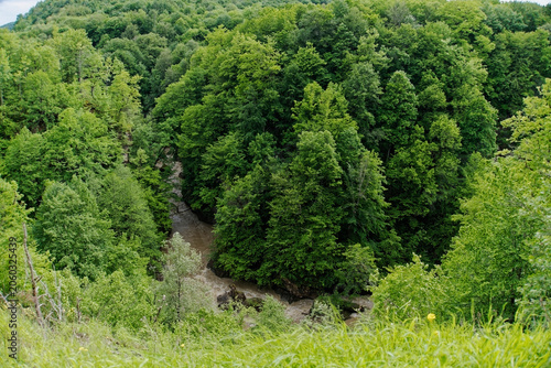 Mountain river canyon bend in deep wilderness gorge with lush deciduous trees of Adygea Caucasus