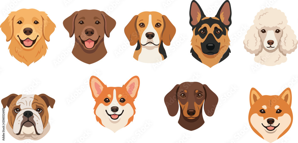 Obraz premium Dog Breed Avatars and Head Portraits Vector Collection Featuring Popular Breeds Like Golden Retriever, German Shepherd, Bulldog, Corgi, and Shiba Inu