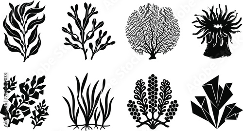 Foto Collection of Marine Plant and Coral Silhouettes Featuring Seaweed, Kelp, Anemon