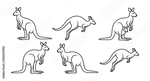 Bild auf Leinwand Kangaroo Line Art Illustrations On A White Background