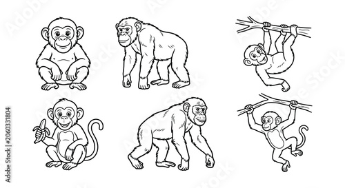 Canvas Print Monkey illustrations black and white vector drawings on a white background