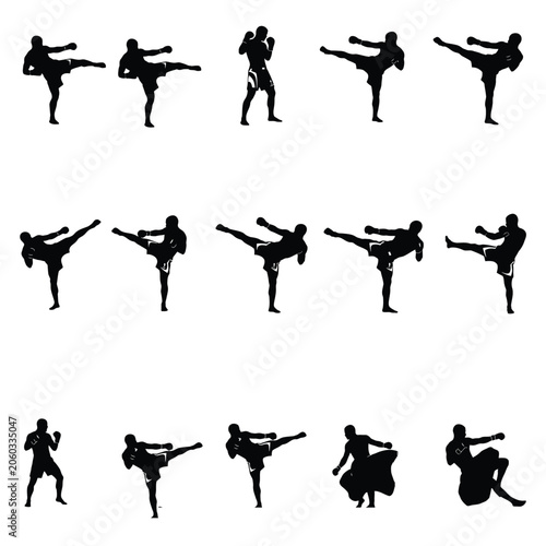 Martial Arts Fighters Kicking Silhouette Set
