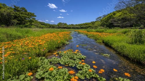 Vibrant orange wildflowers bloom abundantly alongside a clear, flowing river under a bright blue sky, a breathtaking natural landscape scene.