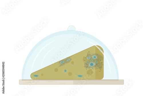 Moldy cheese wedge under glass cloche dome on board. Spoiled and rotten food concept. Yellow cheese wedge covered in green mold and fungus under transparent cover. Food waste, expired products.Vector