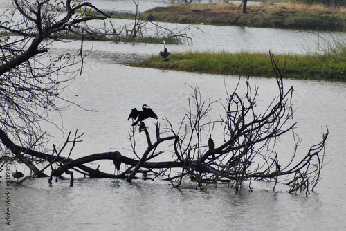 fishing on the river