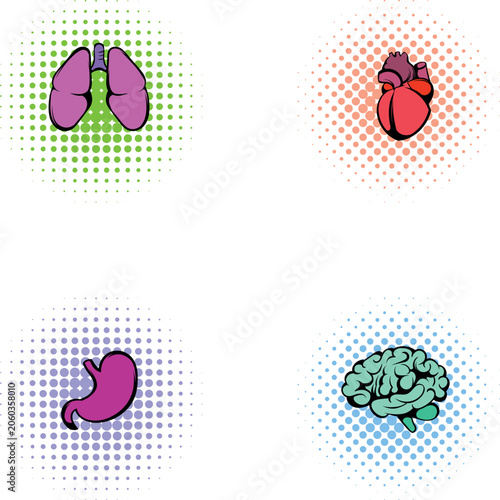 Human lungs, heart, stomach, and brain represented as medical anatomy icons