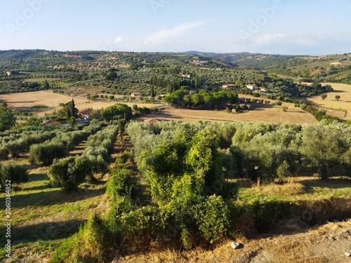 Paisaje rural tradicional de la Toscana con campos de olivos, cipreses y casas de campo, Italia.