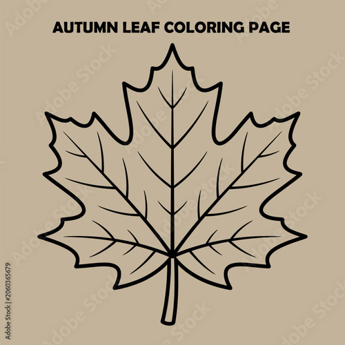 Maple leaf outline for autumn coloring page with simple lines and clear space for design