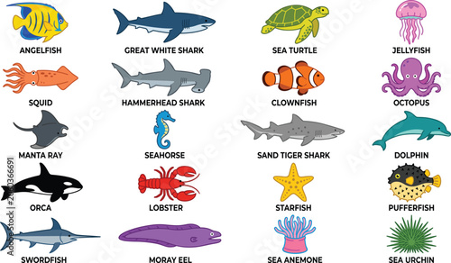 Cuadro en lienzo Sea animals vector illustration collection, cartoon marine life set, underwater