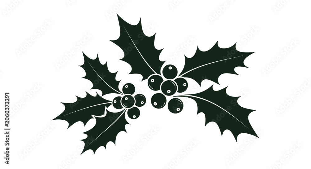 Fototapeta premium Holly leaves and berries on white background