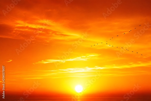 Vibrant orange sunset, bright sun, cloudy sky, birds flying