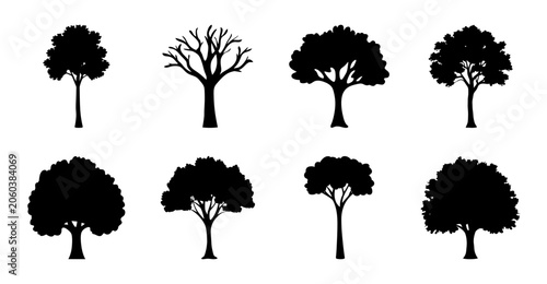 Fotografie Eight different black silhouette trees in a row - Simple vector illustration of eight varied black silhouette trees aligned neatly for design or presentation use